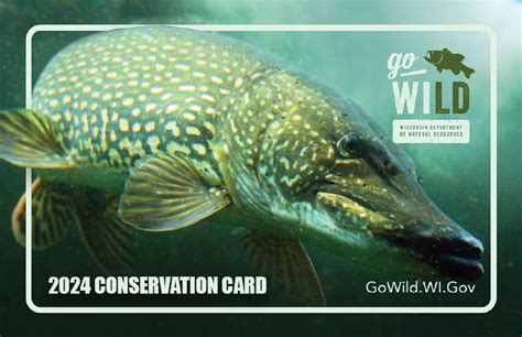 wigo wild|go wild wisconsin dnr license.